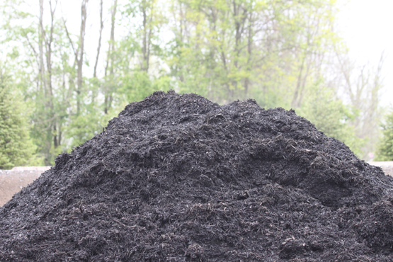 IMG_5403 | Blue Mountain Landscaping Supplies